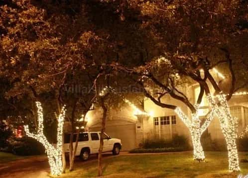 Villa önündeki ağaçlarda gövde ve dal sarımı